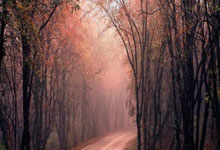 法国神奇逆转瑞士，晋级希望再现