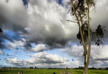 辽宁男篮完胜河南队，连胜不断获得新动力