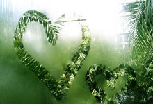 格拉纳达主场大胜，板凳压阵奏效